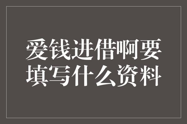 爱钱进借啊要填写什么资料