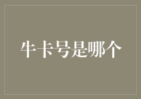 牛卡号：数字化时代的虚拟代号