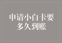 如何加速小白卡申请流程，确保快速到帐？