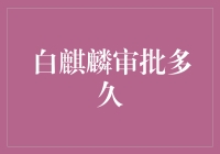 白麒麟审批流程解析：从申请到批复的全面指南