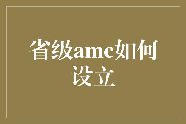 省级amc如何设立