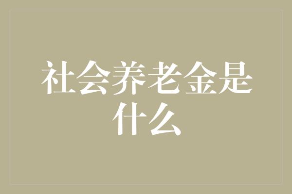 社会养老金是什么