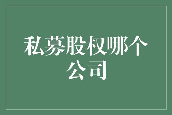 私募股权哪个公司