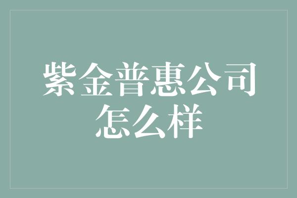 紫金普惠公司怎么样