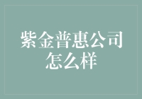 如何评价紫金普惠公司的服务？紫金普惠公司怎么样？