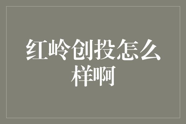 红岭创投怎么样啊