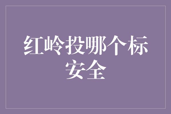 红岭投哪个标安全