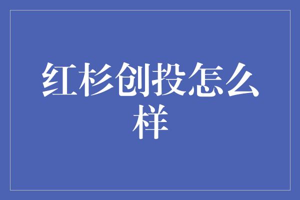 红杉创投怎么样