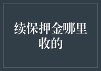 看，那只收续保押金的大象：保险公司办公室寻宝记