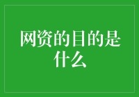 网资：推动数字经济创新与发展的催化剂