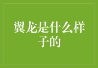 翼龙是什么样子的