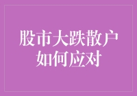 股市大跌散户应对指南：如何在波动中保持理性与客观