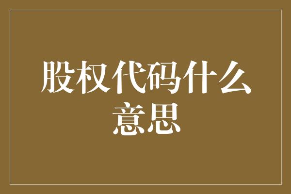 股权代码什么意思