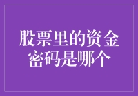 股票里的资金密码是哪个？——揭秘股市资金的神秘面纱