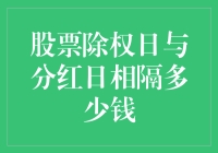 股票除权日与分红日之间的价格波动：投资者需知