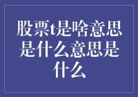 股票T是啥？跟我一起揭秘吧！