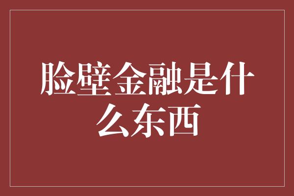 脸壁金融是什么东西