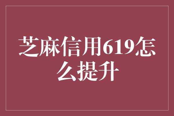 芝麻信用619怎么提升