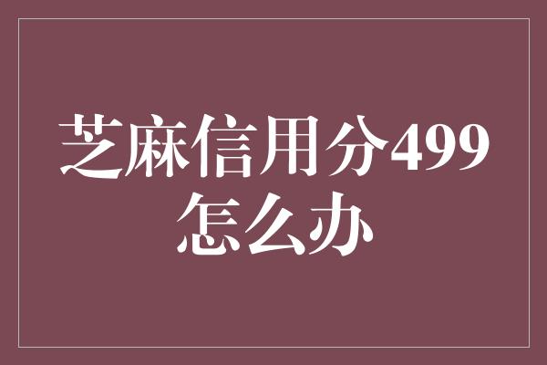 芝麻信用分499怎么办