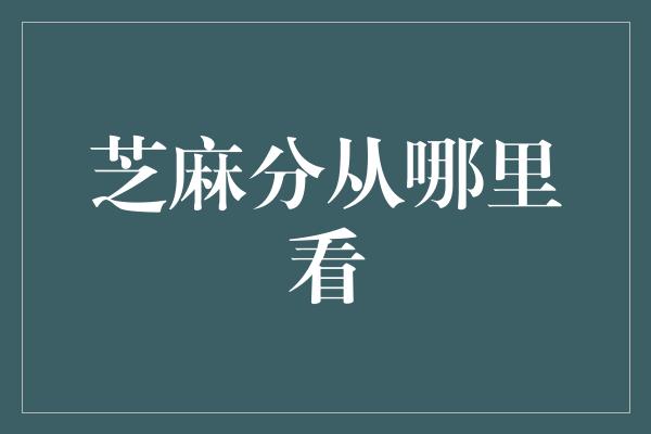 芝麻分从哪里看