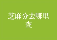 芝麻分去哪里查：全面解读服务背后的信用评分系统