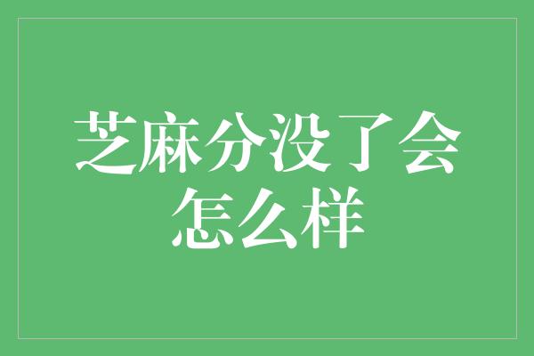 芝麻分没了会怎么样