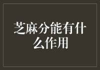 芝麻信用分：解锁金融生活新玩法