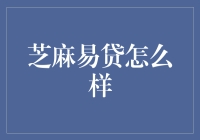 芝麻易贷：在线金融服务新纪元