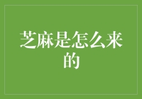 智能推荐系统下的芝麻：从信息过载到精准服务的秘密