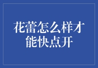 促进花蕾快速绽放的科学与艺术