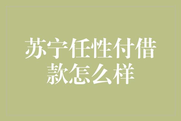 苏宁任性付借款怎么样