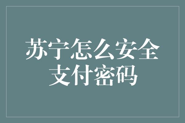 苏宁怎么安全支付密码