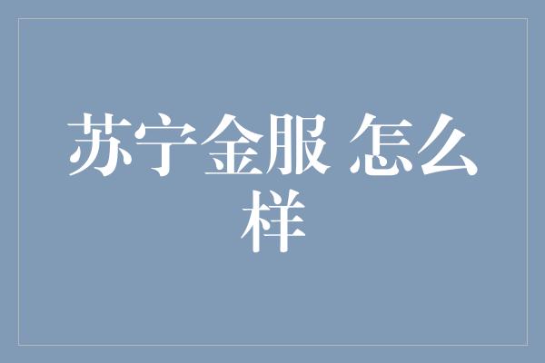 苏宁金服 怎么样