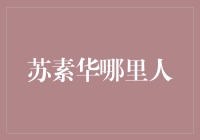 苏素华：一个既非苏轼后代，也非华山派弟子的神秘人物