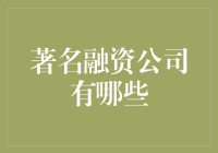 全球著名融资公司的七大巨头