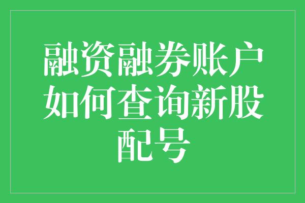 融资融券账户如何查询新股配号