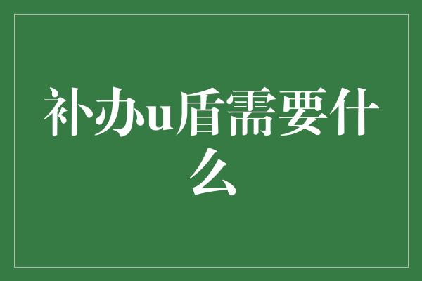 补办u盾需要什么