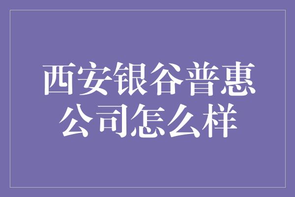 西安银谷普惠公司怎么样