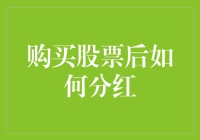 购买股票后如何分红：解锁股东权益的奥秘