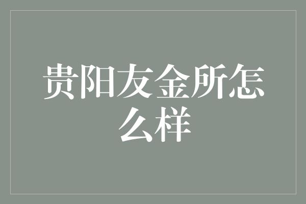 贵阳友金所怎么样