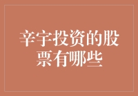 辛宇投资的股票：跨界金融大师的投资哲学