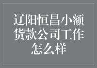 辽阳恒昌小额货款公司工作状况深度解析