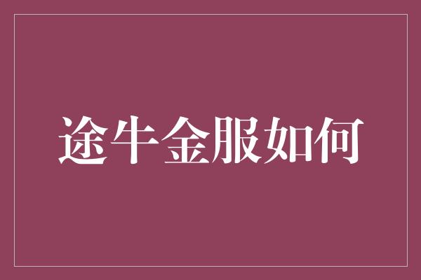 途牛金服如何