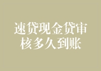 速贷现金贷审核多久到账：深度解析与案例分享