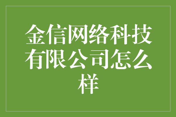 金信网络科技有限公司怎么样