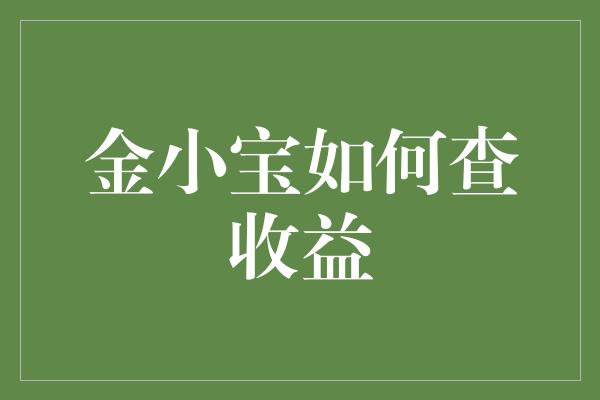 金小宝如何查收益