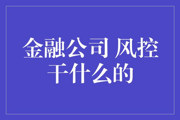 金融公司 风控干什么的