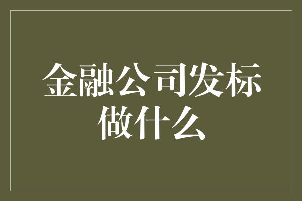 金融公司发标做什么