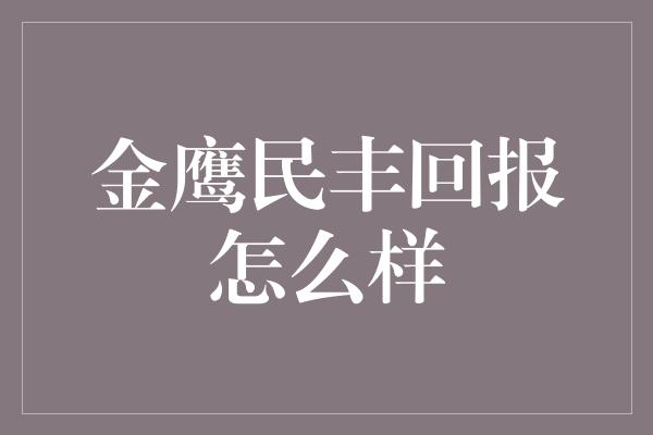 金鹰民丰回报怎么样