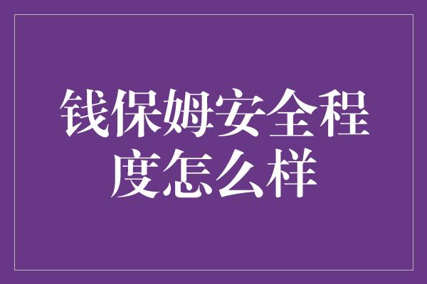 钱保姆安全程度怎么样